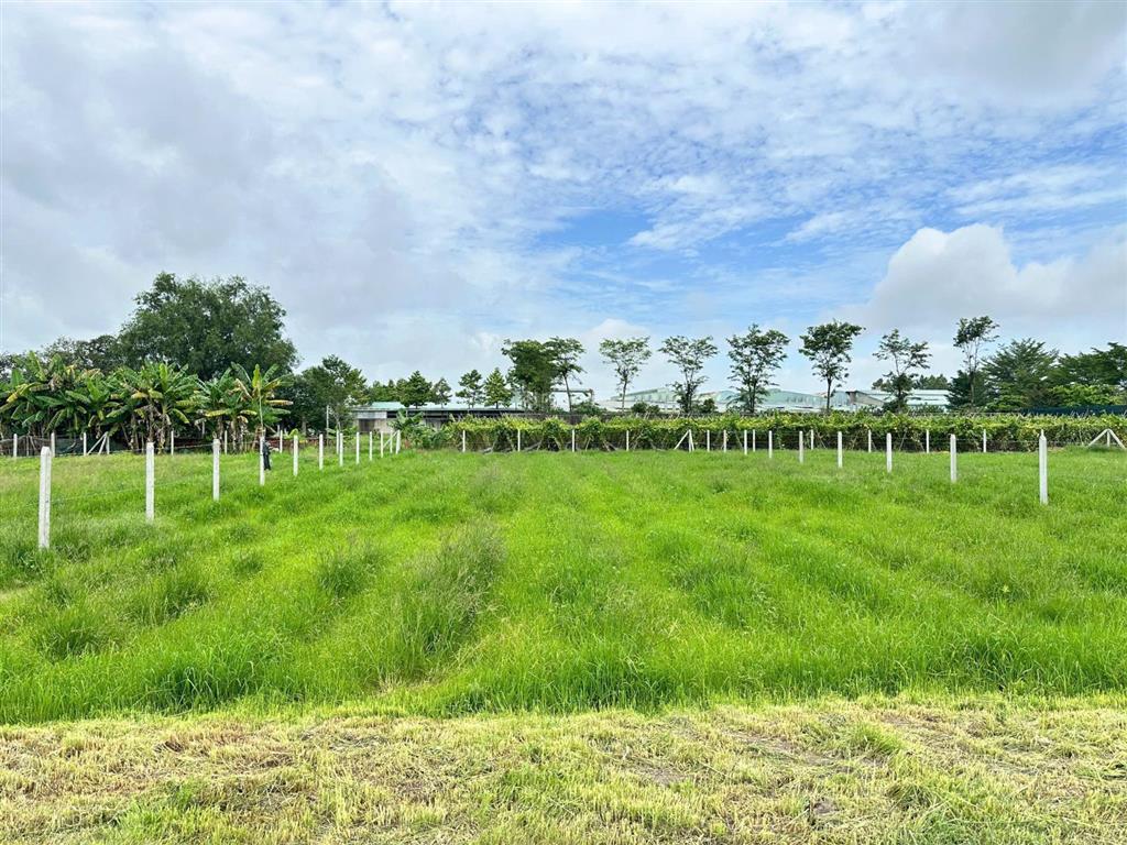 Chính chủ bán đất vườn củ chi  810m2 có 40m2 thổ cư  chỉ 1 tỷ 290  hh 2% mg