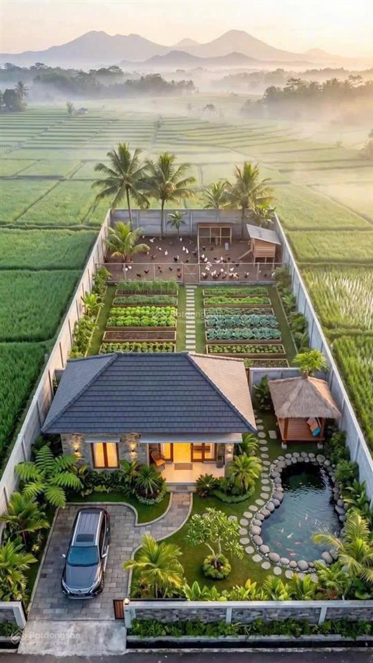 Chính chủ bán đất vườn củ chi  810m2 có 40m2 thổ cư  chỉ 1 tỷ 290  hh 2% mg