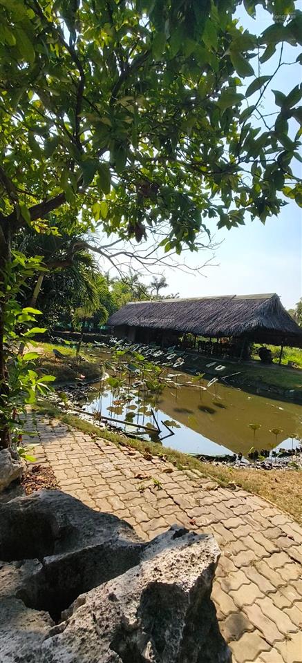 Bến du thuyền khu nghỉ dưỡng biệt thự sinh thái moon river củ chi tp. hcm. 350 tỷ
