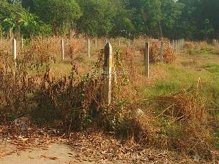 Chính chủ cần ra gấp lô đất siêu đẹp dt 240m2 đường phú an 045  sổ hồng riêng