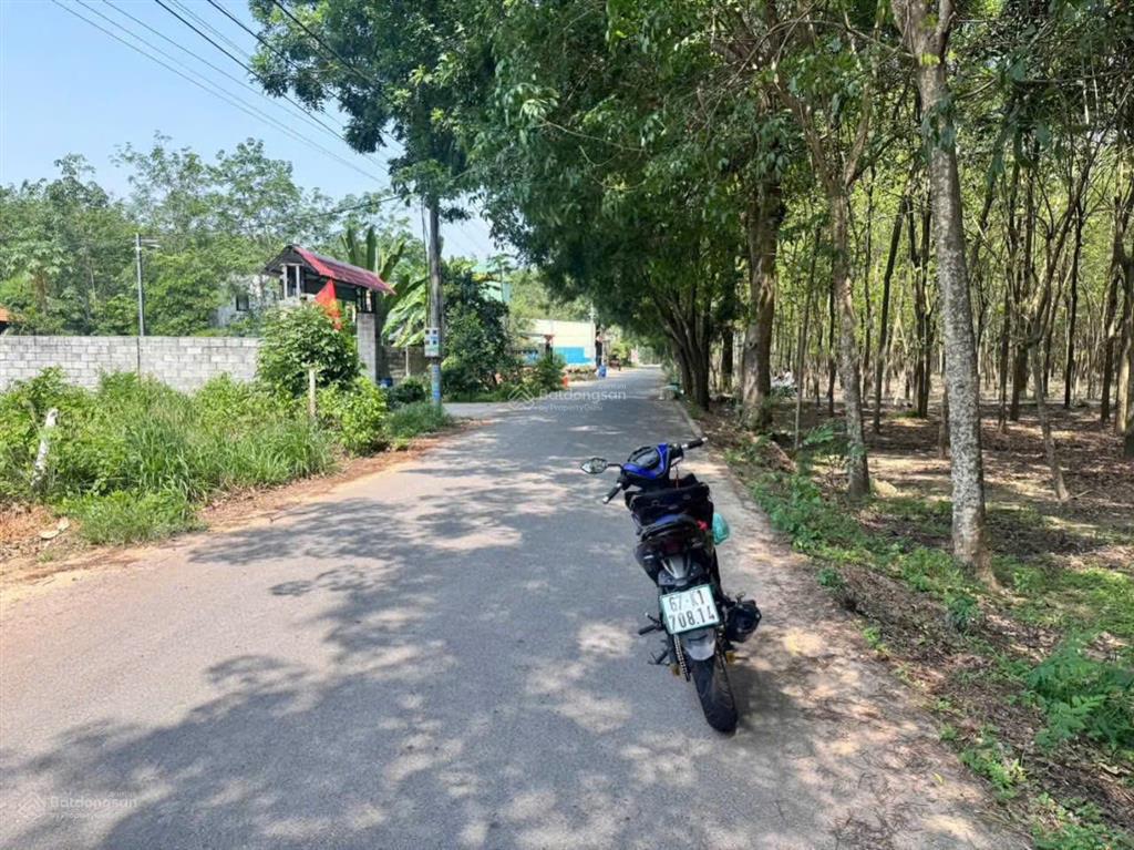 Ngay kdc hiện hữu hòa lợi có lô đất dài hiếm dt 250m2  sổ hồng riêng sang tên ngay