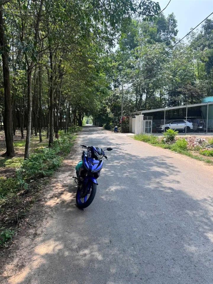 Ngay kdc hiện hữu hòa lợi có lô đất dài hiếm dt 250m2  sổ hồng riêng sang tên ngay