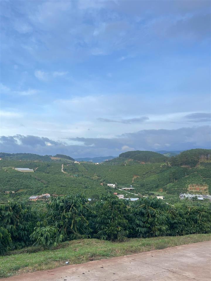 Siêu phẩm đất giáp thông view đẹp nghỉ dưỡng mê linh ven đà lạt