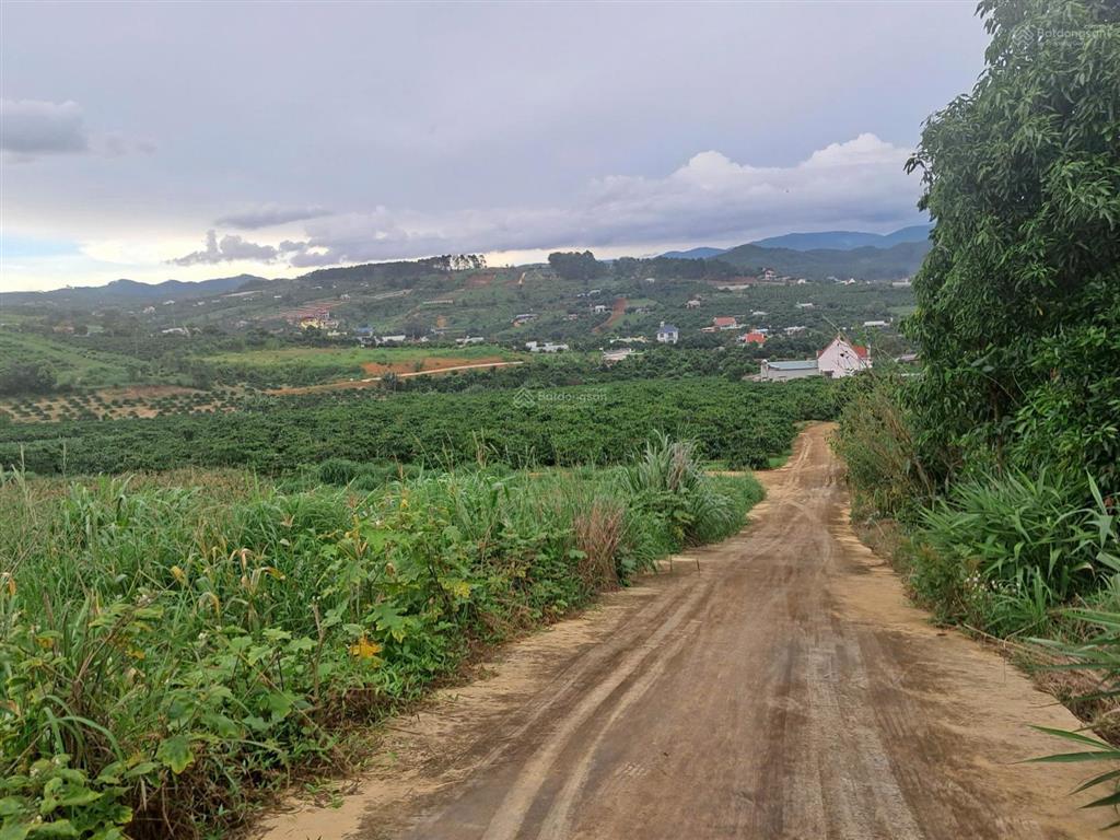 Siêu phẩm đất view đẹp ven đà lạt giá chỉ hơn 1 tỷ