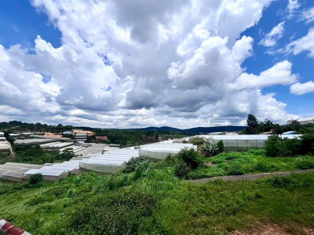 Bán lô góc đất biệt lập 2 mặt tiền măng line view cực đẹp