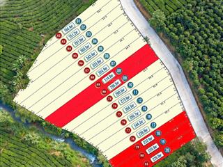 Đất vườn lộc đức giá chỉ 2.5tr/m (sổ sẵn thổ cư)