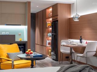 Bán căn hộ trung tâm thành phố  căn 1 ngủ giá tốt nhất thị trường