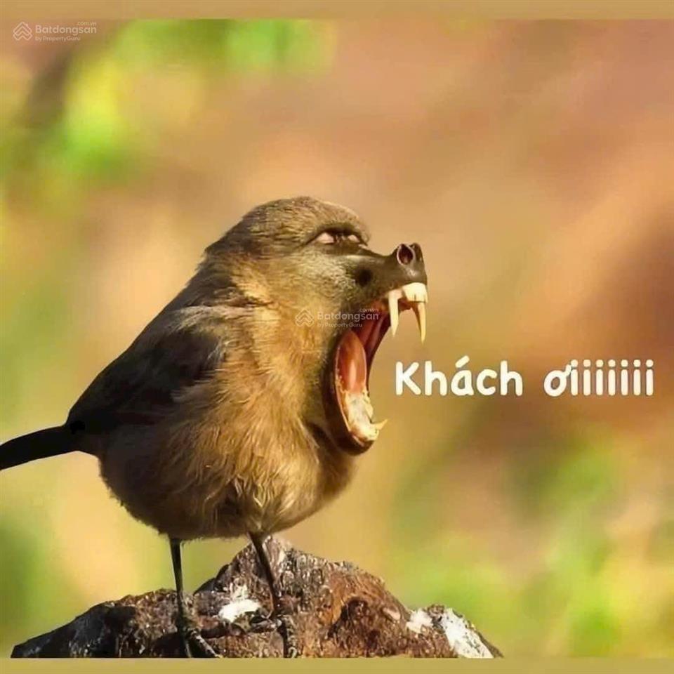 Bán đất đường nhựa tại xã trí bình, 1,5 tỷ, 1100 m2