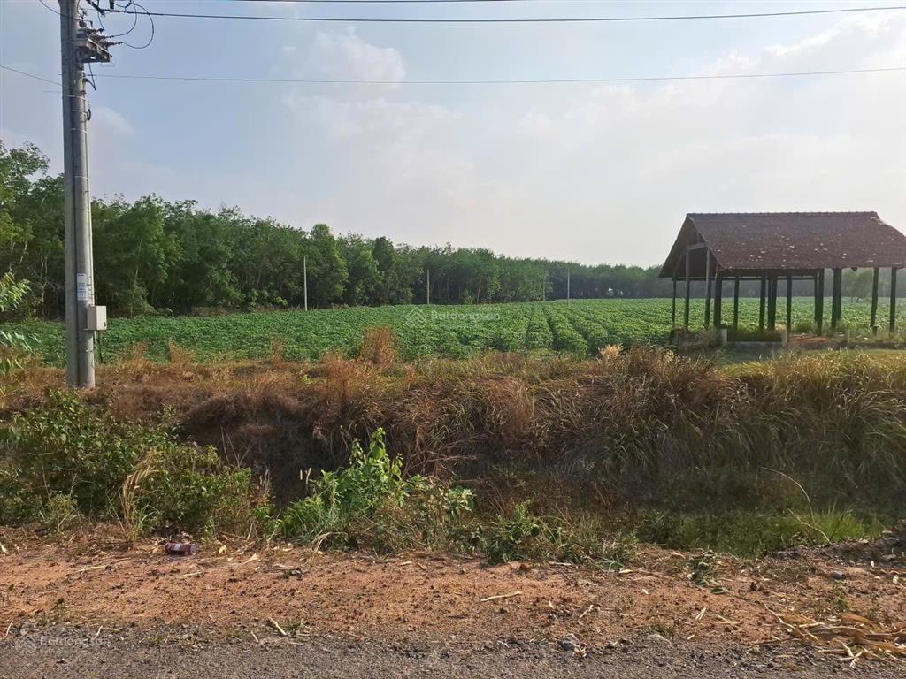 Bán đất tại hảo đước, 5000m2, bao đẹp giá cực chất 25tr/mét ngang