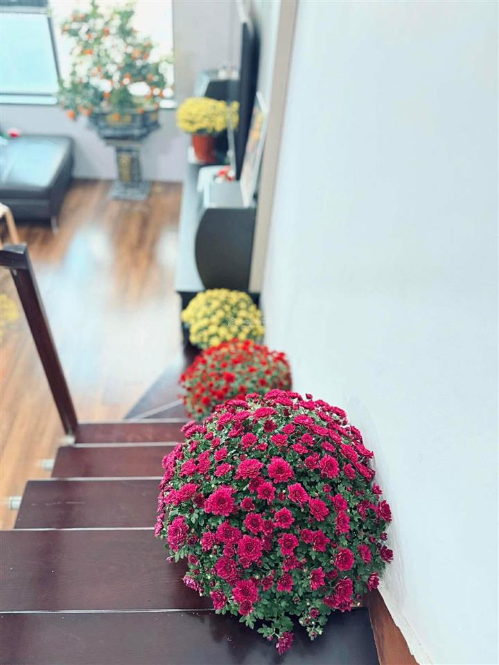 Bán căn hộ duplex valencia garden việt hưng long biên 61m2m2 3n2wc đông nam sẵn sổ đỏ 7.45 tỷ (tl)