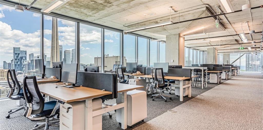 Ngộp bank! bán mặt tiền dương quảng hàm gò vấp, dt 9x35m, 339.2m2, giá 58 tỷ về 46 tỷ