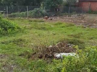 Bán 1000m2 đất hai mặt tiền kênh trung ương, vĩnh lộc a