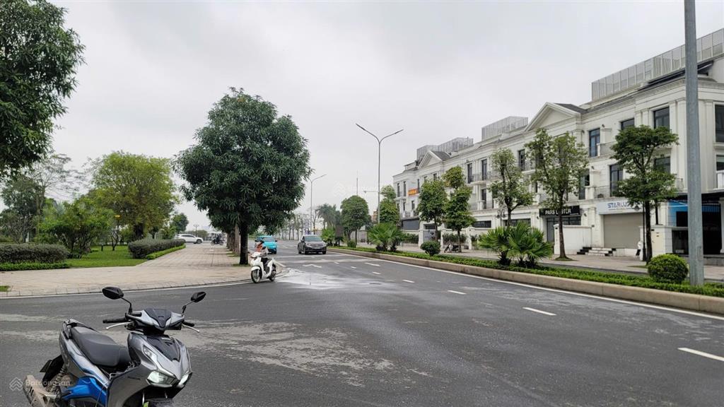 Cho thuê liền kề hải âu giá 21 triệu