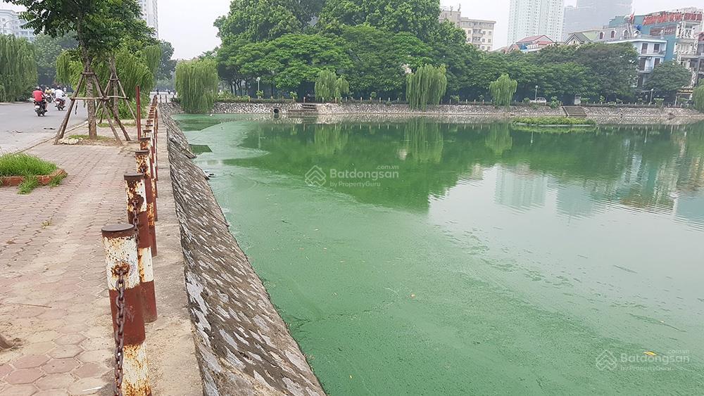 Phòng bán hàng kđt văn quán lk, tt, bt 75m2 vị trí đẹp  kd  giá đt chỉ 18 tỷ. cc 096913949