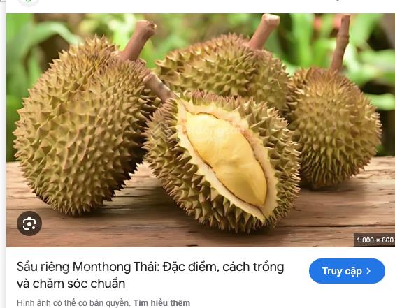 Đất vườn đẹp kèm nhà vườn cà phê, 700 cây sầu riêng mon thong 3 năm