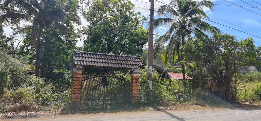 Lô góc 2 mặt tiền đường nhựa, hơn 200m mặt tiền đường nhựa lớn. thuận lợi kho xưởng, nghỉ dưỡng.