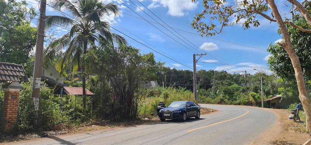 Lô góc 2 mặt tiền đường nhựa, hơn 200m mặt tiền đường nhựa lớn. thuận lợi kho xưởng, nghỉ dưỡng.