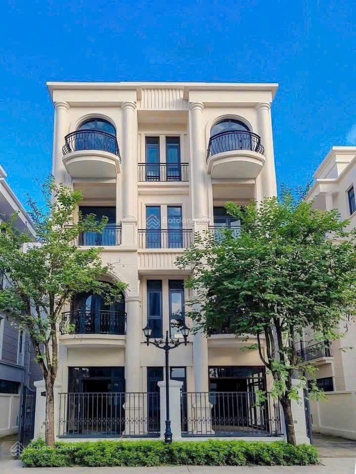 Biệt thự song lập 126m2 tại phân khu vịnh xanh  vinhomes ocean park 3 giá chỉ từ 15 tỷ