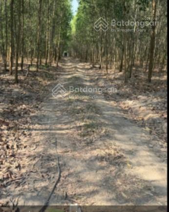 Bán đất tại xã xuân hoà, đồng nai, giá 18 tỷ, diện tích 60000000 m2, hot