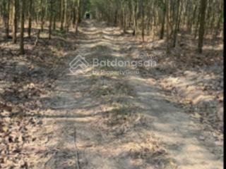 Bán đất tại xã xuân hoà, đồng nai, giá 18 tỷ, diện tích 60000000 m2, hot