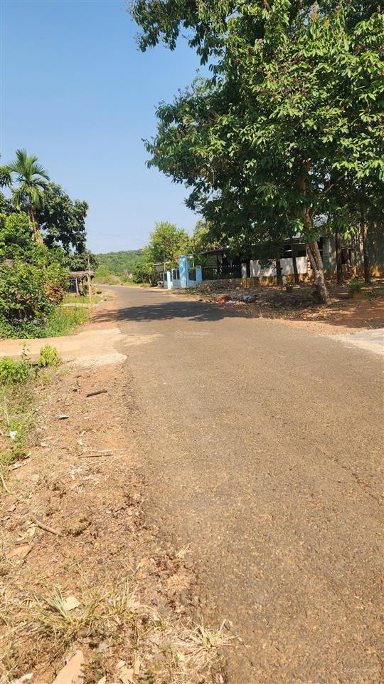 Nhà + đất đẹp đồng tâm 2 (bình phước cũ), 571.6 m2, chỉ 650tr, nhà đẹp + vườn cây, mặt đường nhựa