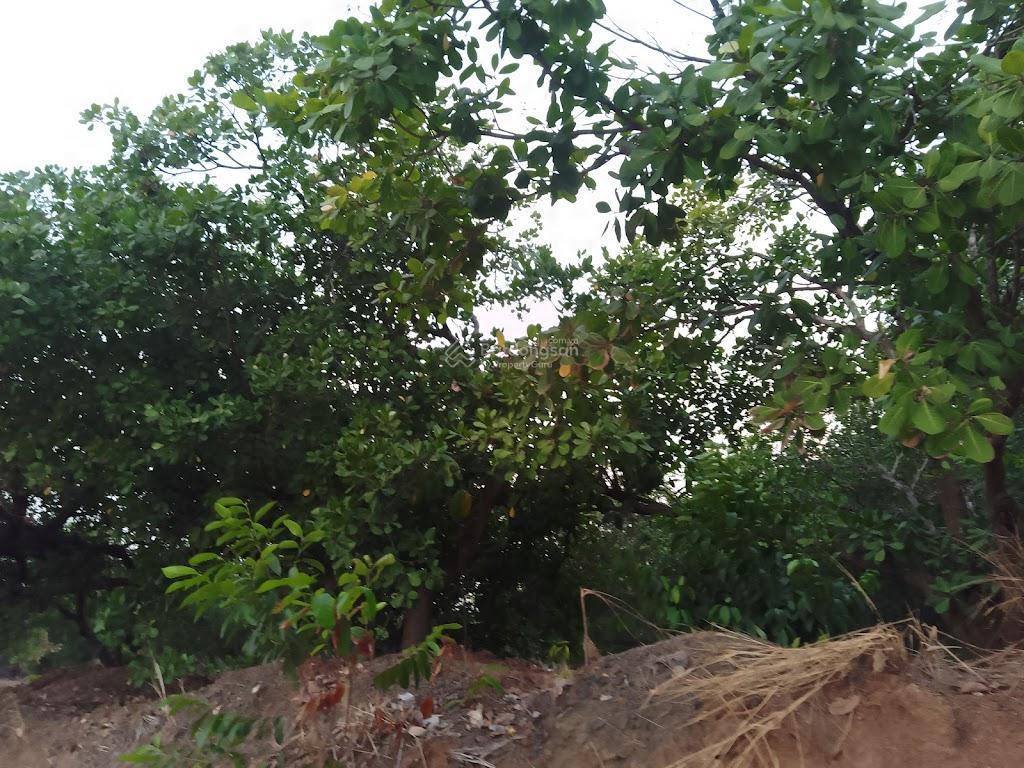 Nhà + đất đẹp đồng tâm 2 (bình phước cũ), 571.6 m2, chỉ 650tr, nhà đẹp + vườn cây, mặt đường nhựa