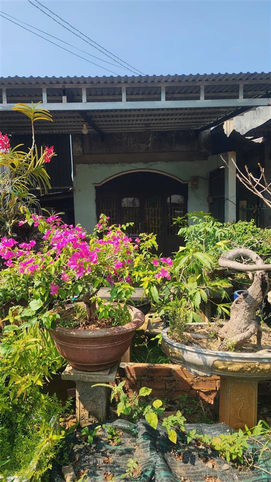 Nhà + đất đẹp đồng tâm 2 (bình phước cũ), 571.6 m2, chỉ 650tr, nhà đẹp + vườn cây, mặt đường nhựa