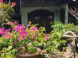 Nhà + đất đẹp đồng tâm 2 (bình phước cũ), 571.6 m2, chỉ 650tr, nhà đẹp + vườn cây, mặt đường nhựa