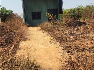 Nhà cấp 4 + đất trồng cây xã đồng tâm 364.6m2, chỉ 450tr, nhà mặt đường lớn