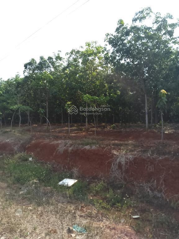 Đất đẹp phú tiến, phú trung, 284m2, chỉ 170tr, đất đẹp, giá rẻ, đường lớn, vị trí trung tâm