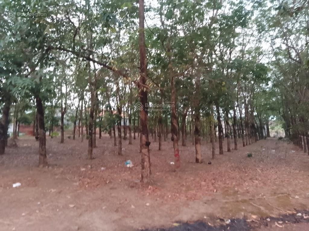 Đất đẹp phú tiến, phú trung, 284m2, chỉ 170tr, đất đẹp, giá rẻ, đường lớn, vị trí trung tâm