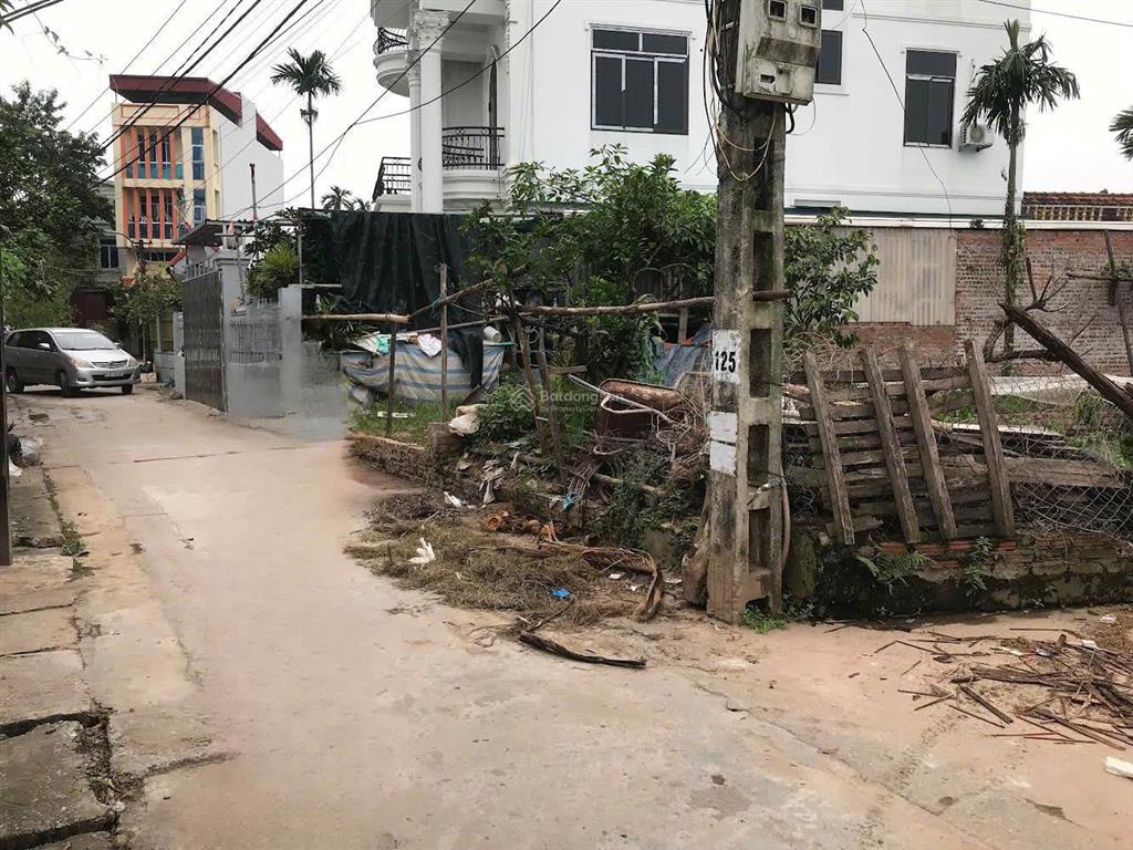Chính chủ bán lô góc 2 mặt tiền 63m2  tráng việt  ngõ 4m ô tô vào đất