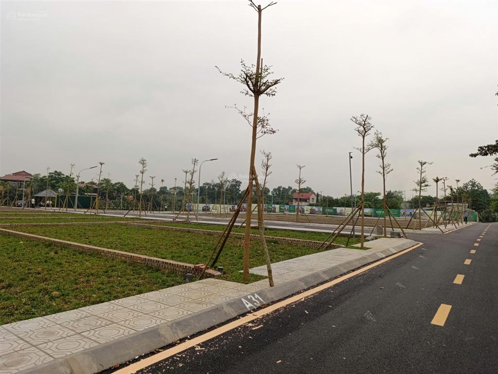 Bán đất xã phú cát 100% thổ cư gần đh quốc gia, đh fpt, khu công nghệ cao giá 2 tỷ, hỗ trợ vay 70%