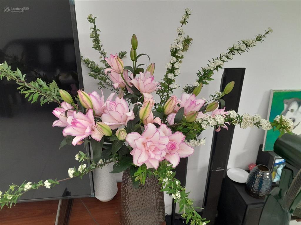 Tôi chính chủ (không phải trung gian). cần bán nhà riêng số 25 ngách 201/108 đatốn, bát tràng tphn