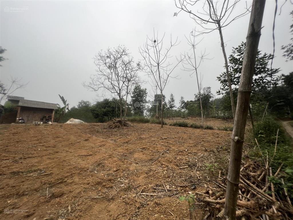 Bán đất tại phương thịnh, vạn xuân, 4,25 tỷ, 842 m2, giá siêu hời chính chủ