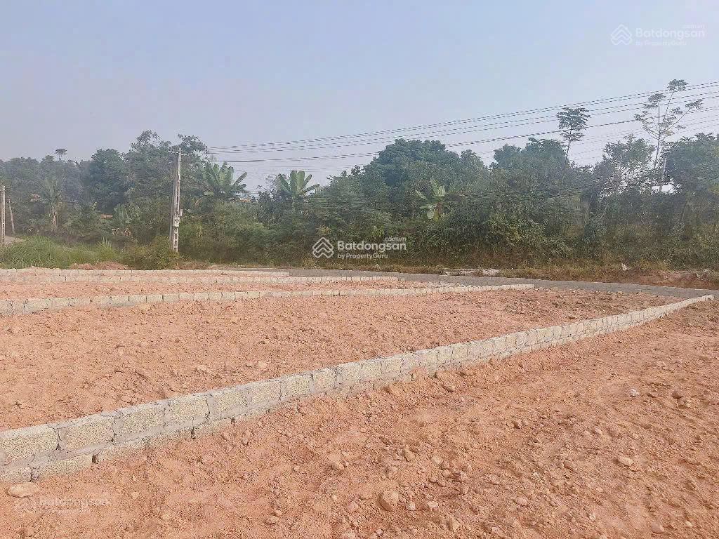 Bán gấp đất 1200m2 tại phương thịnh, vạn xuân, tam nông, 6 tỷ vnd