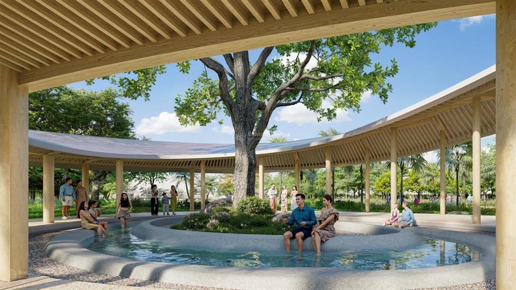 Em học chuyên hàng biệt thự vip live cđt ở alluvia city, diện tích 200m2 mặt hồ