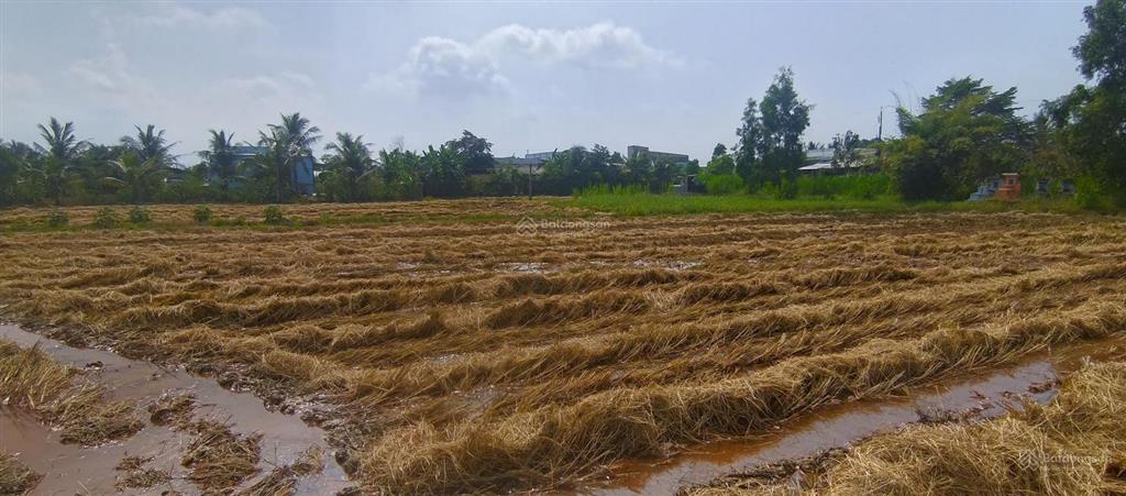 Bán đất gần kcn cầu cảng phước đông, cần đước, long an
