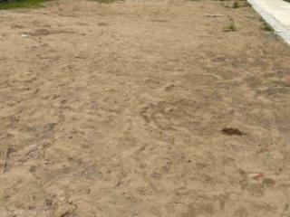 Cần bán 87 m² đất gần đường cách mạng tháng tám, gần đường 30/4. thị xã long mỹ, hậu giang (cũ)