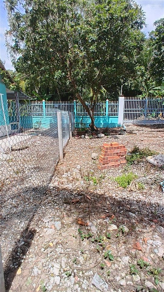 Bán đất 277 dh25c, 246,2m2, 7,0 triệu / m2, xã long hồ, vĩnh long. nở hậu dài 21m, đất như sổ đỏ