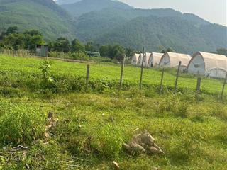 Chủ cần tiền bán gấp lô đất vườn 1127m2 tại thôn nam mỹ, giá rẻ nhất 986 tr ( =~874k/1mét vuông)