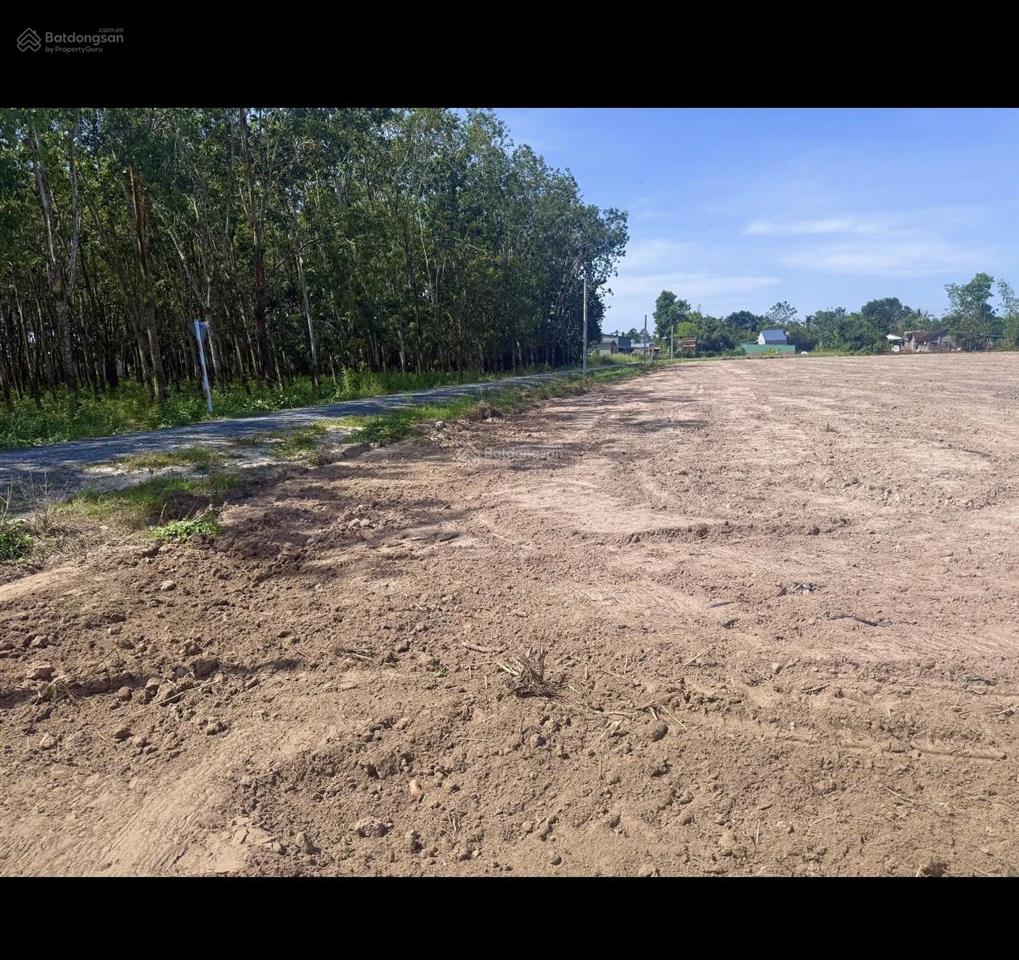 Đất nền khu dân cư thảo nhiên ngay kcn phước đông. dt 5,2 x 26,6