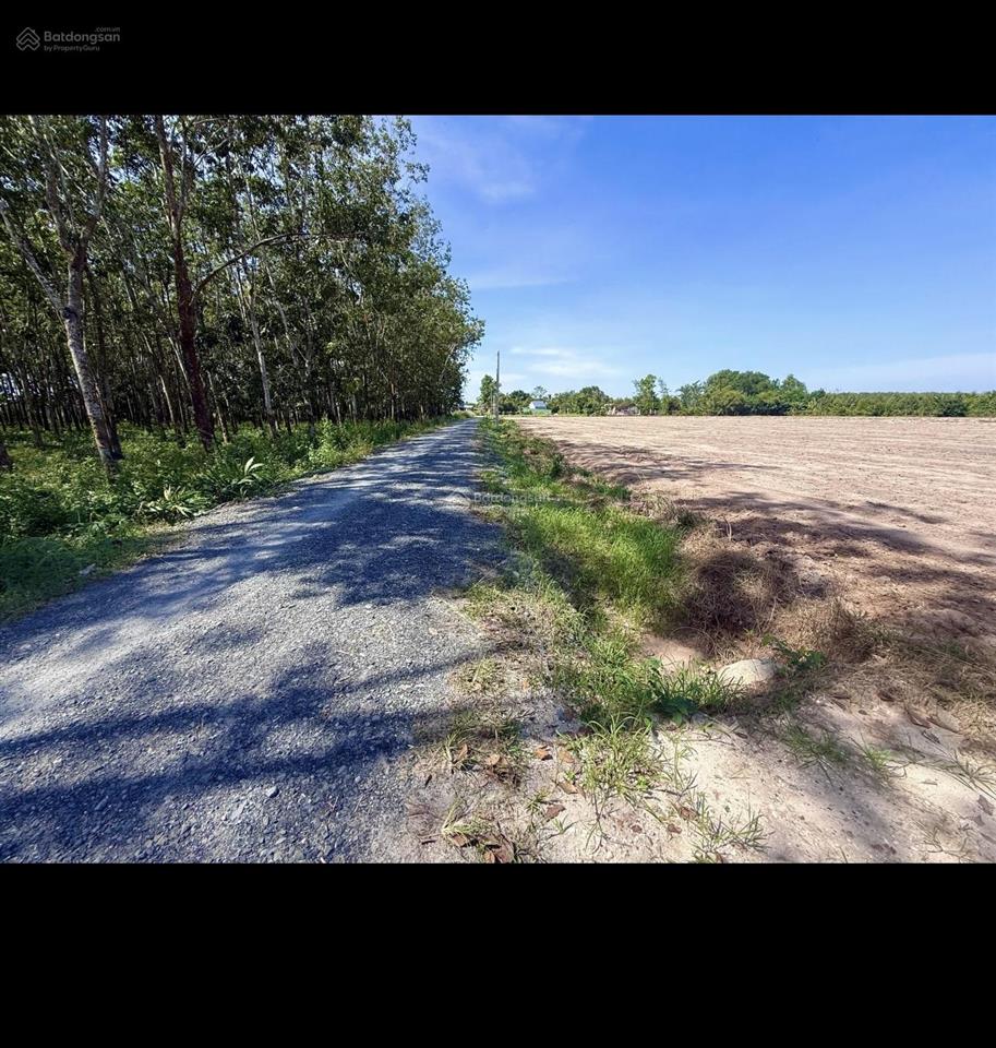 Đất nền khu dân cư thảo nhiên ngay kcn phước đông. dt 5,2 x 26,6