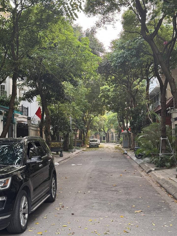 88m2/mt 8.8m/48.5tỷ trần quang diệu vỉa hè 3 ôtô tránh đỗ 24/7  đường thông thoáng  xây building