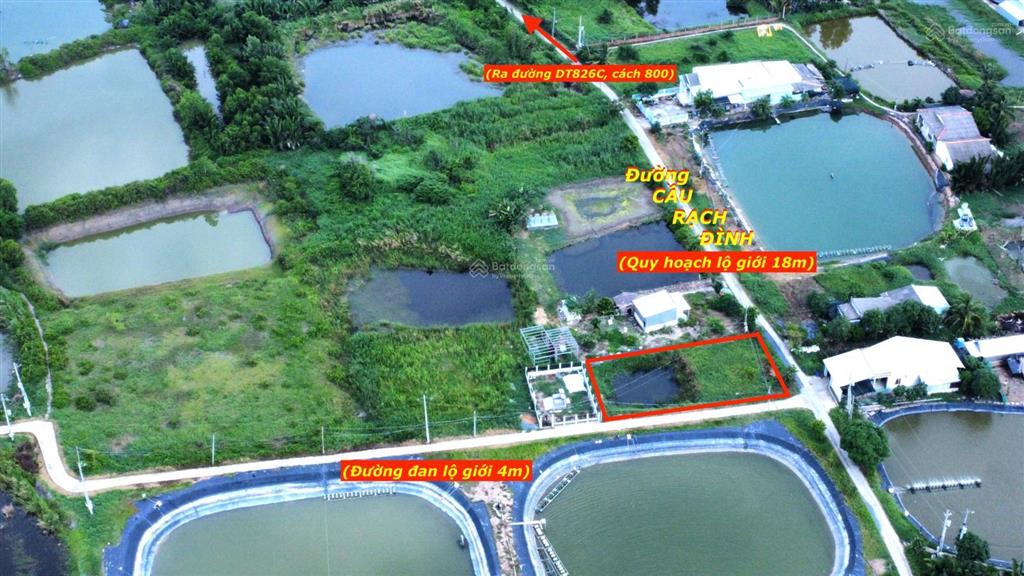 Chính chủ bán nền đất góc, mặt tiền đường cầu rạch đình, cách đt 826c chỉ 800m