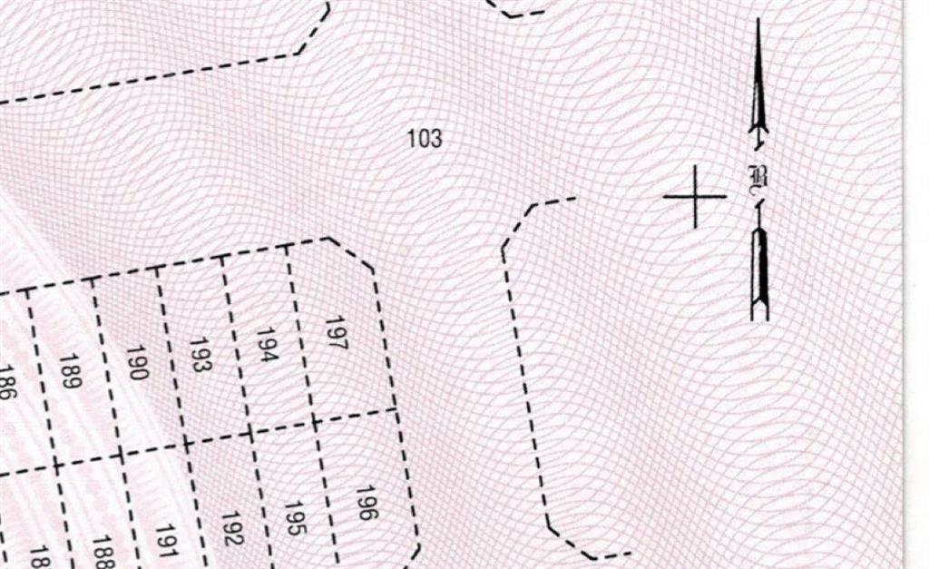 Đất 7x19 đường 2c phú mỹ chợ lớn chỉ 15.5 tỷ