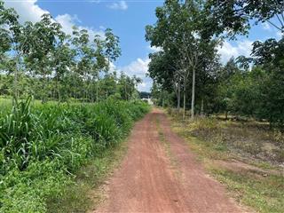 Bán đất tại đường dh504, huyện phú giáo, 1,075 tỷ, 1500m2