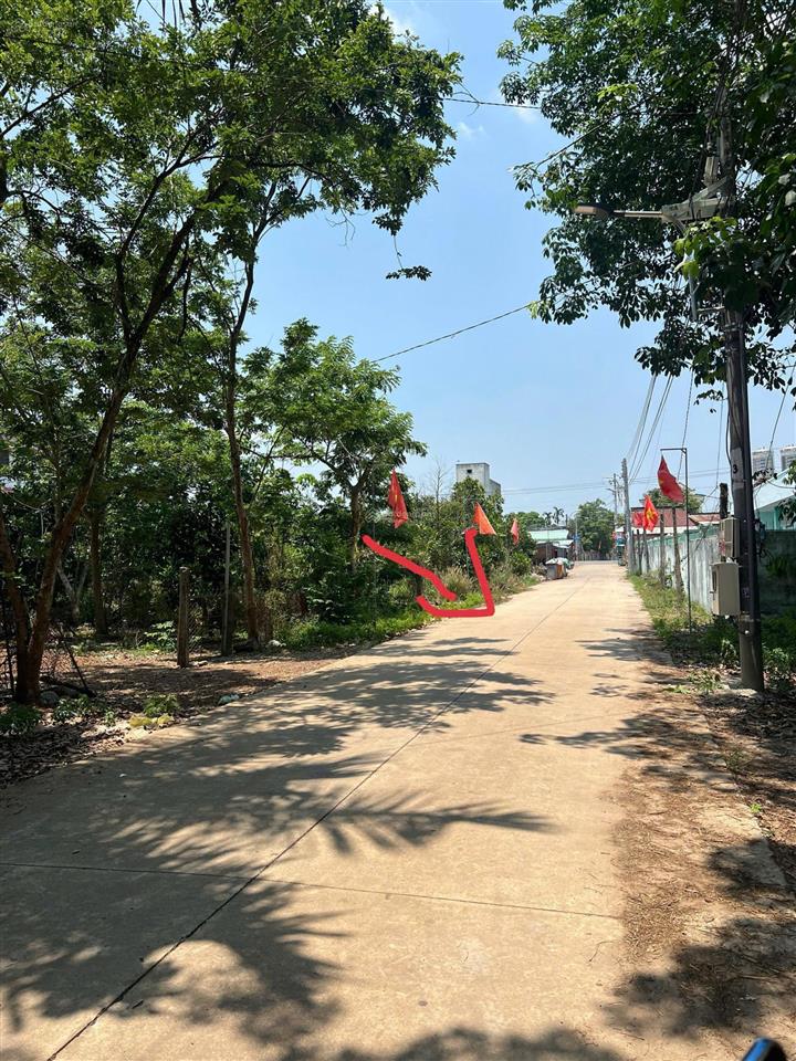 Chủ ngộp cần bán gấp lô đất mặt tiền đường diện tích 500m² giá 700 triệu tại an long hồ chí minh.