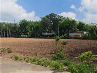 490 triệu là đã có thể sở hữu ngay 250m2 có thổ cư gần trường học, ủy ban tại an long, hồ chí minh