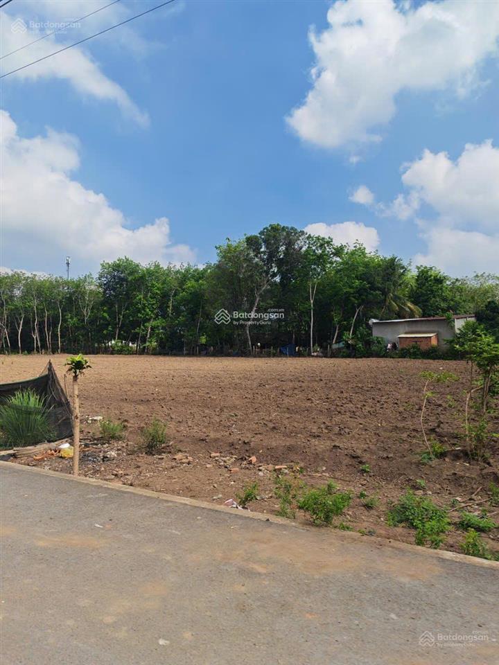 490 triệu là đã có thể sở hữu ngay 250m2 có thổ cư gần trường học, ủy ban tại an long, hồ chí minh